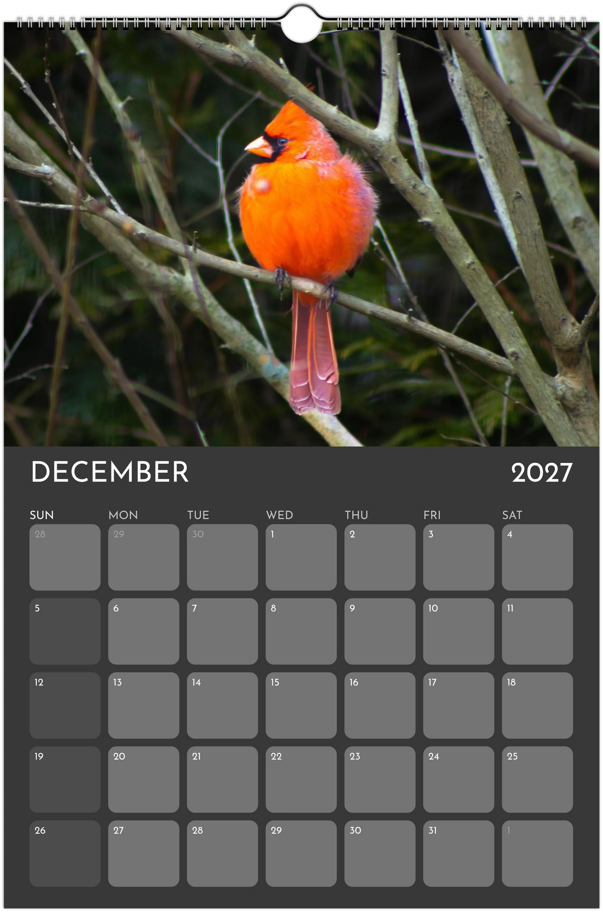 Eastern Shore 2027 Calendar