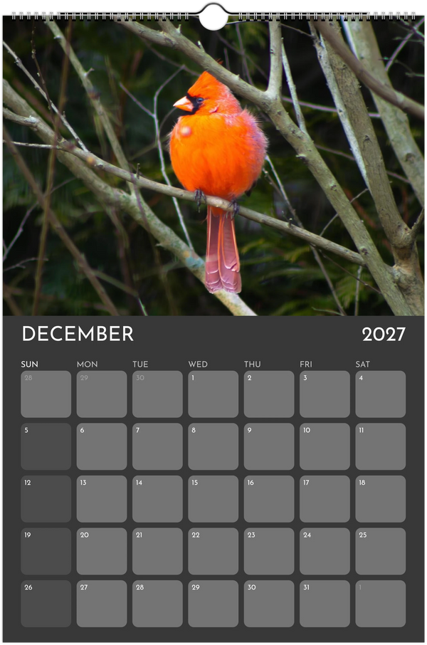 Eastern Shore 2027 Calendar