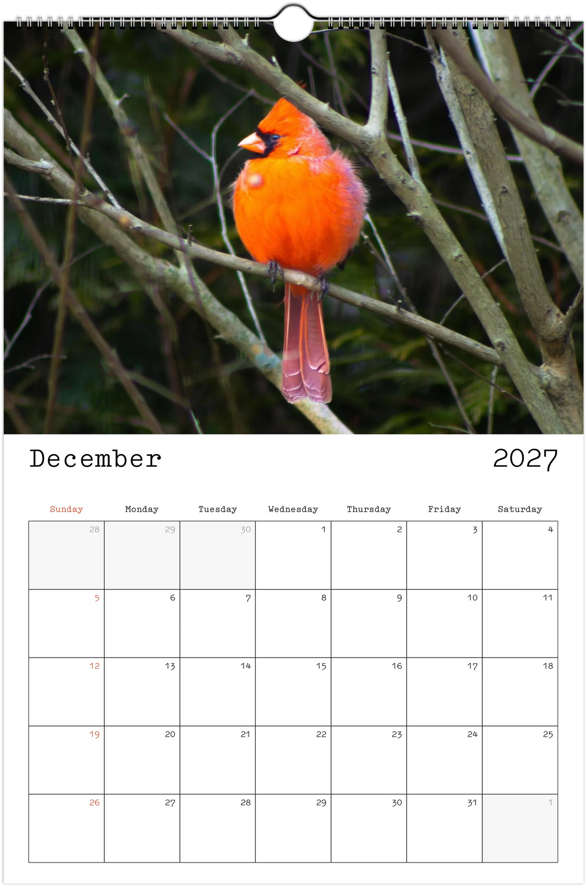 Eastern Shore 2027 Calendar