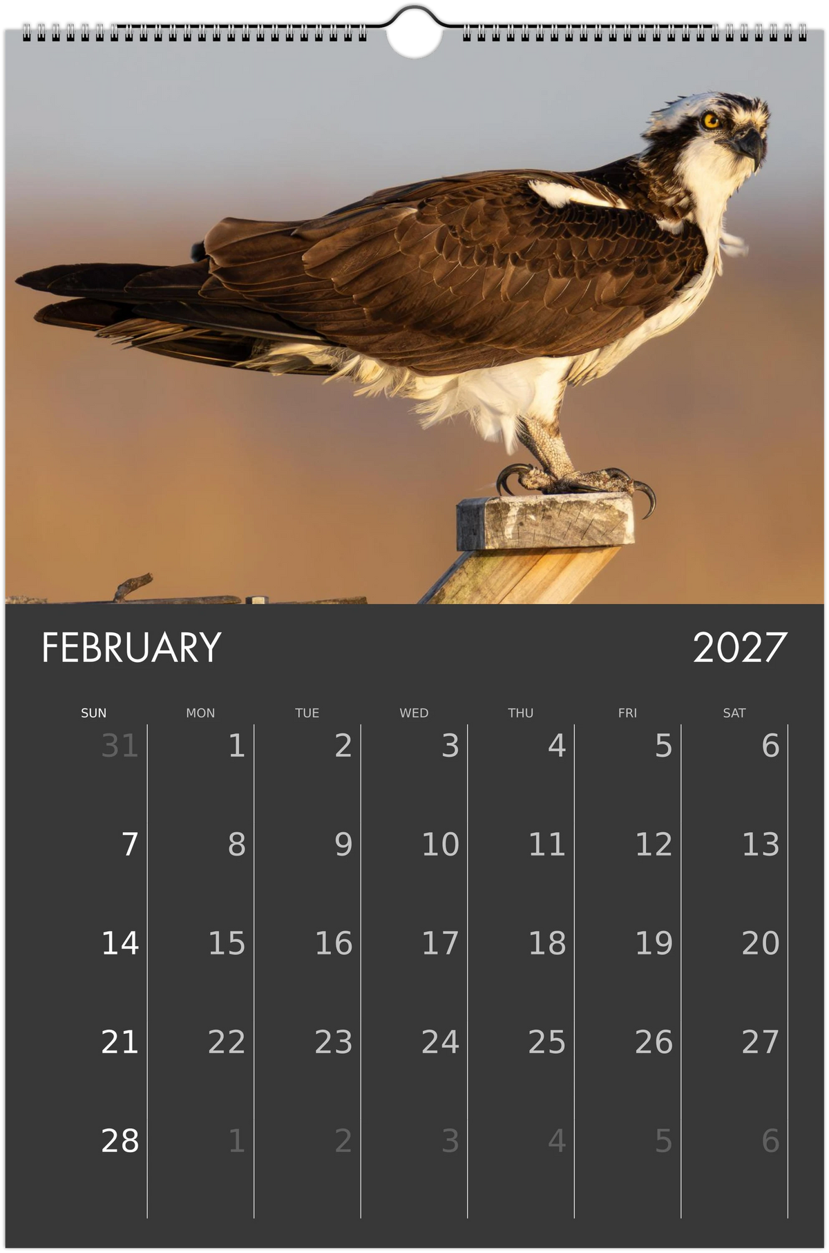 Eastern Shore 2027 Calendar