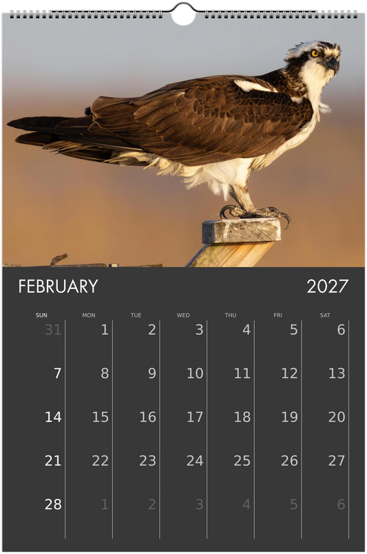 Eastern Shore 2027 Calendar