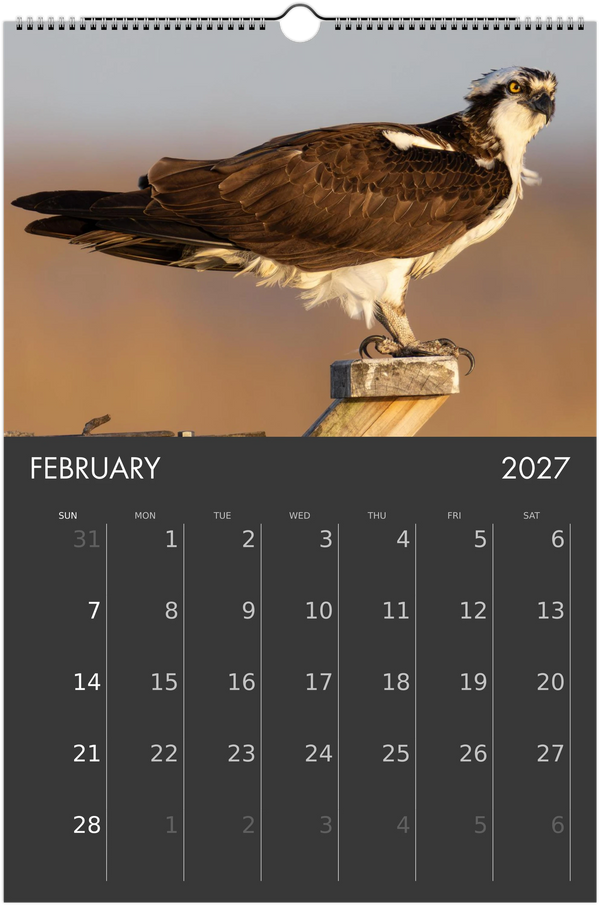 Eastern Shore 2027 Calendar