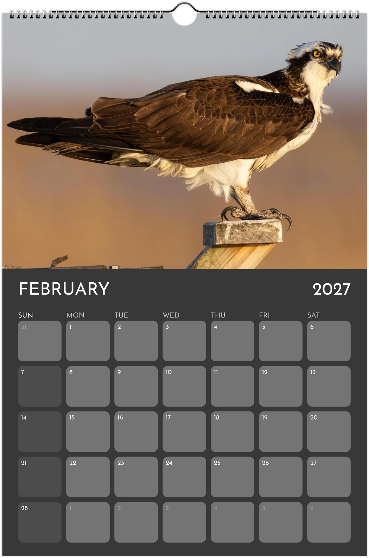 Eastern Shore 2027 Calendar