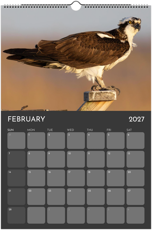 Eastern Shore 2027 Calendar