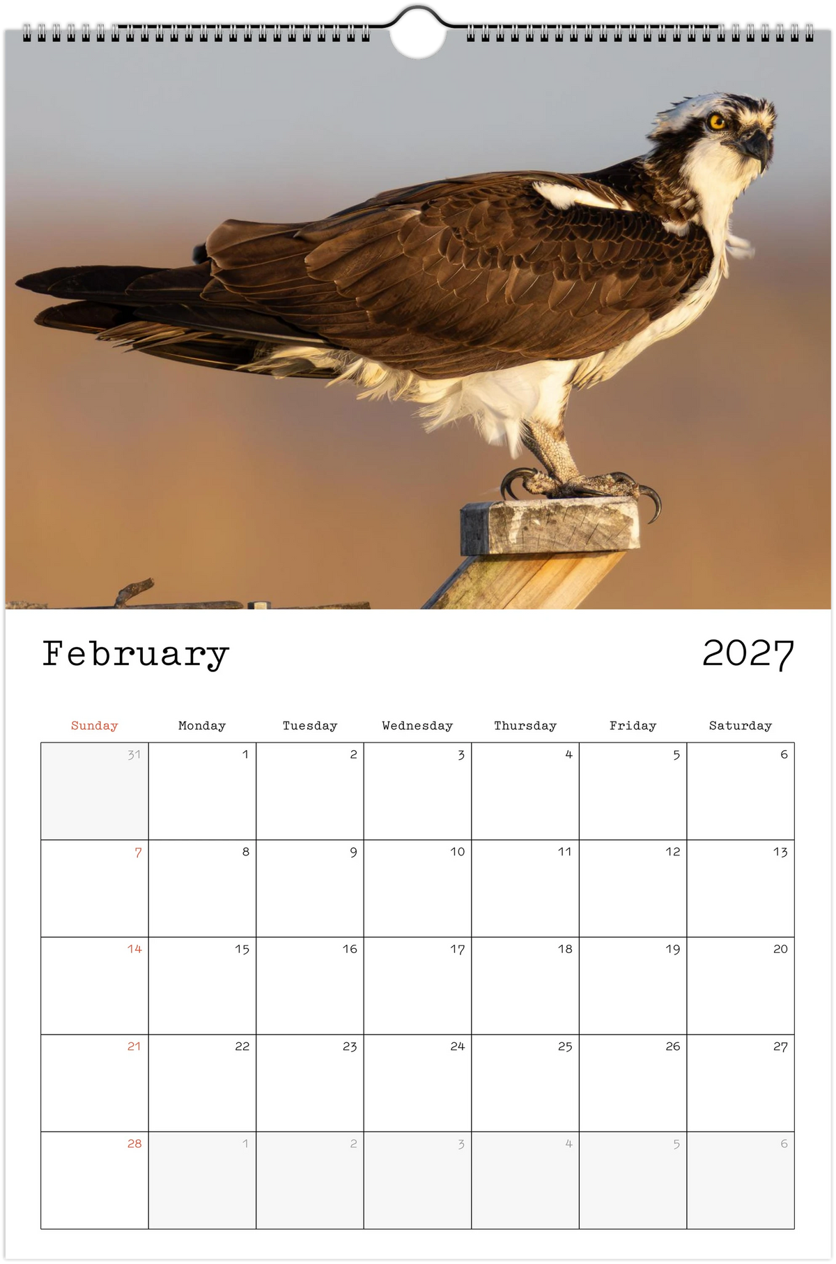 Eastern Shore 2027 Calendar