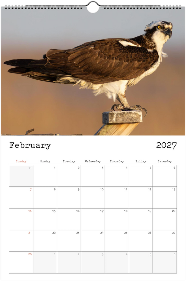 Eastern Shore 2027 Calendar