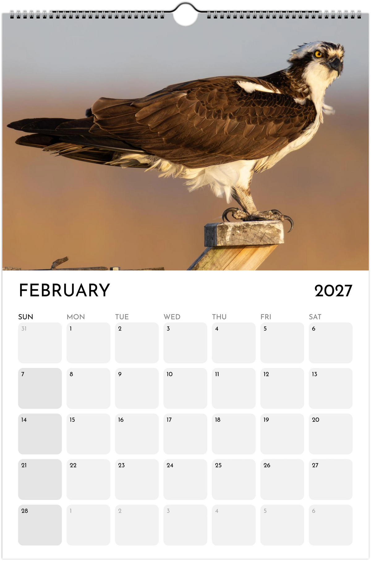 Eastern Shore 2027 Calendar