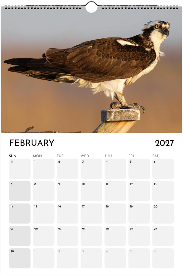 Eastern Shore 2027 Calendar