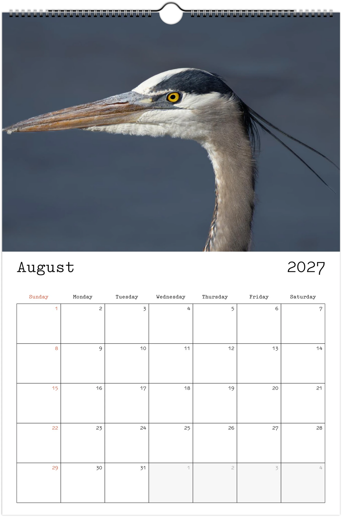 Eastern Shore 2027 Calendar