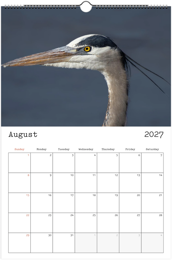Eastern Shore 2027 Calendar